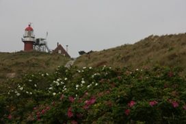 de vuurtoren, op het hoogste duin