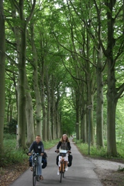 door park en bos rondom Den Haag