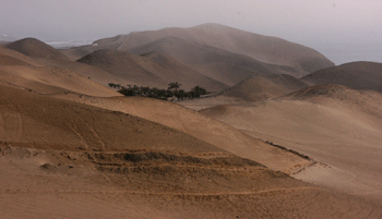 Sahara