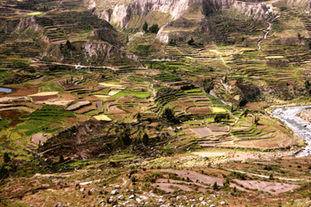 Colca=terrassen