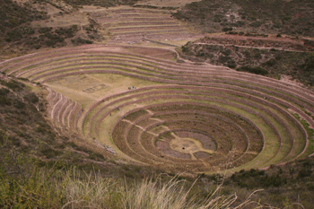 Moray