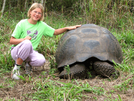 landschildpad